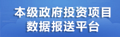 本级政府投资项目数据报送平台